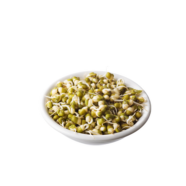 Alfalfa - Mung Beans